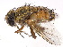  ( - gvcT02588)  @11 [ ] CreativeCommons - Attribution Non-Commercial (2016) Graeme V. Cocks Unspecified
