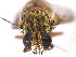  ( - gvcT02588)  @11 [ ] CreativeCommons - Attribution Non-Commercial (2016) Graeme V. Cocks Unspecified