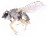  ( - gvcT08697)  @11 [ ] CreativeCommons - Attribution Non-Commercial (2017) Graeme V. Cocks Unspecified