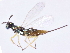  ( - gvcT09279)  @14 [ ] CreativeCommons - Attribution Non-Commercial (2017) Graeme V. Cocks Unspecified