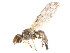  ( - gvcT10564)  @14 [ ] CreativeCommons - Attribution Non-Commercial (2017) Graeme V. Cocks Unspecified