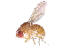  ( - gvcT10975)  @11 [ ] CreativeCommons - Attribution Non-Commercial (2017) Graeme V. Cocks Unspecified