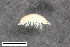  ( - ZFMK-TIS-2520868)  @11 [ ] CreativeCommons  Attribution Share-Alike (by-sa) 4.0 (2016) Unspecified Zoologisches Forschungsmuseum Alexander Koenig