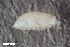  ( - ZFMK-TIS-2611819)  @11 [ ] CreativeCommons  Attribution Share-Alike (by-sa) 102 (2018) Unspecified Zoologisches Forschungsmuseum Alexander Koenig
