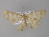  ( - BC ZSM Lep 03787)  @13 [ ] CreativeCommons - Attribution Non-Commercial Share-Alike (2010) Unspecified SNSB, Zoologische Staatssammlung Muenchen