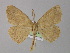  ( - BC ZSM Lep 04018)  @14 [ ] CreativeCommons - Attribution Non-Commercial Share-Alike (2010) Unspecified SNSB, Zoologische Staatssammlung Muenchen