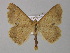  ( - BC ZSM Lep 04029)  @13 [ ] CreativeCommons - Attribution Non-Commercial Share-Alike (2010) Unspecified SNSB, Zoologische Staatssammlung Muenchen