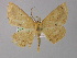  ( - BC ZSM Lep 04143)  @13 [ ] CreativeCommons - Attribution Non-Commercial Share-Alike (2010) Unspecified SNSB, Zoologische Staatssammlung Muenchen