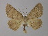 ( - BC ZSM Lep 04177)  @14 [ ] CreativeCommons - Attribution Non-Commercial Share-Alike (2010) Unspecified SNSB, Zoologische Staatssammlung Muenchen