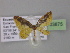  ( - BC ZSM Lep 03875)  @12 [ ] CreativeCommons - Attribution Non-Commercial Share-Alike (2010) Unspecified SNSB, Zoologische Staatssammlung Muenchen