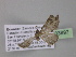  ( - BC ZSM Lep 03897)  @12 [ ] CreativeCommons - Attribution Non-Commercial Share-Alike (2010) Unspecified SNSB, Zoologische Staatssammlung Muenchen