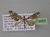  ( - BC ZSM Lep 03968)  @12 [ ] CreativeCommons - Attribution Non-Commercial Share-Alike (2010) Unspecified SNSB, Zoologische Staatssammlung Muenchen
