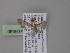  ( - BC ZSM Lep 04080)  @12 [ ] CreativeCommons - Attribution Non-Commercial Share-Alike (2010) Unspecified SNSB, Zoologische Staatssammlung Muenchen
