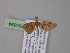  ( - BC ZSM Lep 04094)  @13 [ ] CreativeCommons - Attribution Non-Commercial Share-Alike (2010) Unspecified SNSB, Zoologische Staatssammlung Muenchen
