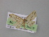  ( - BC ZSM Lep 04312)  @12 [ ] CreativeCommons - Attribution Non-Commercial Share-Alike (2010) Unspecified SNSB, Zoologische Staatssammlung Muenchen