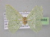  ( - BC ZSM Lep 03888)  @13 [ ] CreativeCommons - Attribution Non-Commercial Share-Alike (2010) Unspecified SNSB, Zoologische Staatssammlung Muenchen