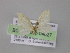  ( - BC ZSM Lep 04027)  @12 [ ] CreativeCommons - Attribution Non-Commercial Share-Alike (2010) Unspecified SNSB, Zoologische Staatssammlung Muenchen