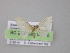  ( - BC ZSM Lep 04196)  @12 [ ] CreativeCommons - Attribution Non-Commercial Share-Alike (2010) Unspecified SNSB, Zoologische Staatssammlung Muenchen