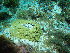  ( - SF2022_M25)  @11 [ ] Copyright (2025) Catalina Gomez-Cubillos Institute of Studies in Marine Sciencies, Universidad Nacional de Colombia - Caribbean campus