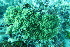  ( - SF2021_M33)  @11 [ ] Copyright (2025) Catalina Gomez-Cubillos Institute of Studies in Marine Sciencies, Universidad Nacional de Colombia - Caribbean campus
