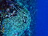  ( - SF2022_M17)  @11 [ ] Copyright (2025) Catalina Gomez-Cubillos Institute of Studies in Marine Sciencies, Universidad Nacional de Colombia - Caribbean campus