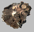  ( - 11BAE_SP-0038)  @11 [ ] CreativeCommons  Attribution Non-Commercial Share-Alike (2019) Dzmitry Lukashanets SPC of the NAS of Belarus for Bioresources