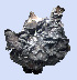 ( - 11BAE_SP-0052)  @11 [ ] CreativeCommons  Attribution Non-Commercial Share-Alike (2019) Dzmitry Lukashanets SPC of the NAS of Belarus for Bioresources