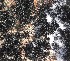  ( - 11BAE_SP-0069)  @11 [ ] CreativeCommons  Attribution Non-Commercial Share-Alike (2019) Dzmitry Lukashanets SPC of the NAS of Belarus for Bioresources