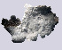  ( - 11BAE_SP-0142)  @11 [ ] CreativeCommons  Attribution Non-Commercial Share-Alike (2043) Dzmitry Lukashanets SPC of the NAS of Belarus for Bioresources