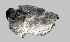  ( - 11BAE_SP-0163)  @11 [ ] CreativeCommons  Attribution Non-Commercial Share-Alike (2051) Dzmitry Lukashanets SPC of the NAS of Belarus for Bioresources