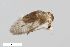  ( - ZFMK-TIS-2503164)  @11 [ ] CreativeCommons  Attribution Share-Alike (by-sa) 384 (2014) Unspecified Zoologisches Forschungsmuseum Alexander Koenig