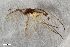  ( - ZFMK-TIS-2507145)  @11 [ ] CreativeCommons  Attribution Share-Alike (by-sa) 384 (2018) Unspecified Zoologisches Forschungsmuseum Alexander Koenig
