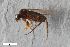  ( - ZFMK-TIS-2525810)  @11 [ ] CreativeCommons  Attribution Share-Alike (by-sa) 384 (2015) Unspecified Zoologisches Forschungsmuseum Alexander Koenig