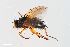  ( - ZFMK-TIS-2538978)  @11 [ ] CreativeCommons  Attribution Share-Alike (by-sa) 384 (2014) Unspecified Zoologisches Forschungsmuseum Alexander Koenig