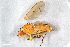  ( - ZFMK-TIS-2548170)  @11 [ ] CreativeCommons  Attribution Share-Alike (by-sa) 384 (2015) Unspecified Zoologisches Forschungsmuseum Alexander Koenig