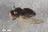  ( - ZFMK-TIS-2603014)  @11 [ ] CreativeCommons  Attribution Share-Alike (by-sa) 640 (2017) Unspecified Zoologisches Forschungsmuseum Alexander Koenig