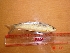  ( - TSND02)  @13 [ ] Unspecified (default): All Rights Reserved  Unspecified Unspecified