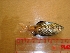  ( - PTPA06)  @12 [ ] Unspecified (default): All Rights Reserved  Unspecified Unspecified