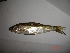  ( - TSPO03)  @13 [ ] Unspecified (default): All Rights Reserved  Unspecified Unspecified