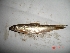  ( - TSND07)  @13 [ ] Unspecified (default): All Rights Reserved  Unspecified Unspecified