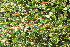  ( - ABSDA-22)  @11 [ ] No Rights Reserved  no no