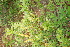  ( - ABSDA-80)  @11 [ ] No Rights Reserved  NO NO