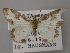  ( - BC ZSM Lep 12787)  @13 [ ] CreativeCommons - Attribution Non-Commercial Share-Alike (2010) Axel Hausmann/Bavarian State Collection of Zoology (ZSM) SNSB, Zoologische Staatssammlung Muenchen