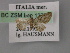  ( - BC ZSM Lep 12779)  @14 [ ] CreativeCommons - Attribution Non-Commercial Share-Alike (2010) Axel Hausmann/Bavarian State Collection of Zoology (ZSM) SNSB, Zoologische Staatssammlung Muenchen