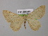  ( - BC ZSM Lep 00379)  @13 [ ] CreativeCommons - Attribution Non-Commercial Share-Alike (2010) Unspecified SNSB, Zoologische Staatssammlung Muenchen