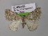  ( - BC ZSM Lep 00382)  @13 [ ] CreativeCommons - Attribution Non-Commercial Share-Alike (2010) Unspecified SNSB, Zoologische Staatssammlung Muenchen