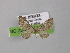  ( - BC ZSM Lep 00422)  @13 [ ] CreativeCommons - Attribution Non-Commercial Share-Alike (2010) Unspecified SNSB, Zoologische Staatssammlung Muenchen