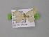  ( - BC ZSM Lep 00471)  @12 [ ] CreativeCommons - Attribution Non-Commercial Share-Alike (2010) Unspecified SNSB, Zoologische Staatssammlung Muenchen