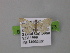  ( - BC ZSM Lep 00473)  @13 [ ] CreativeCommons - Attribution Non-Commercial Share-Alike (2010) Unspecified SNSB, Zoologische Staatssammlung Muenchen