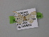  ( - BC ZSM Lep 00474)  @12 [ ] CreativeCommons - Attribution Non-Commercial Share-Alike (2010) Unspecified SNSB, Zoologische Staatssammlung Muenchen
